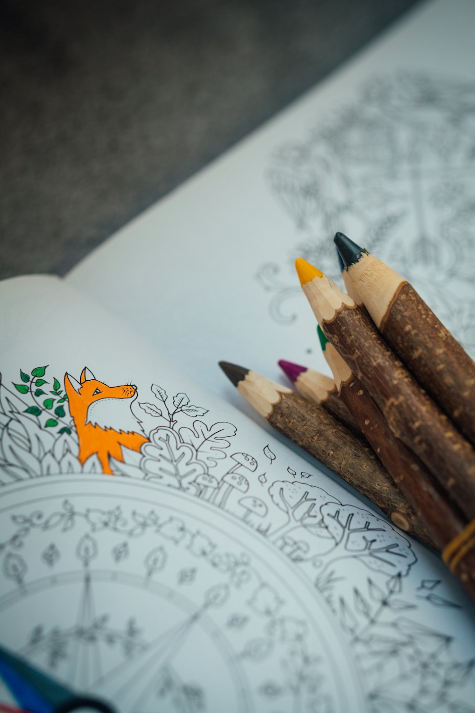 Colored pencils resting on an open fox coloring book page.